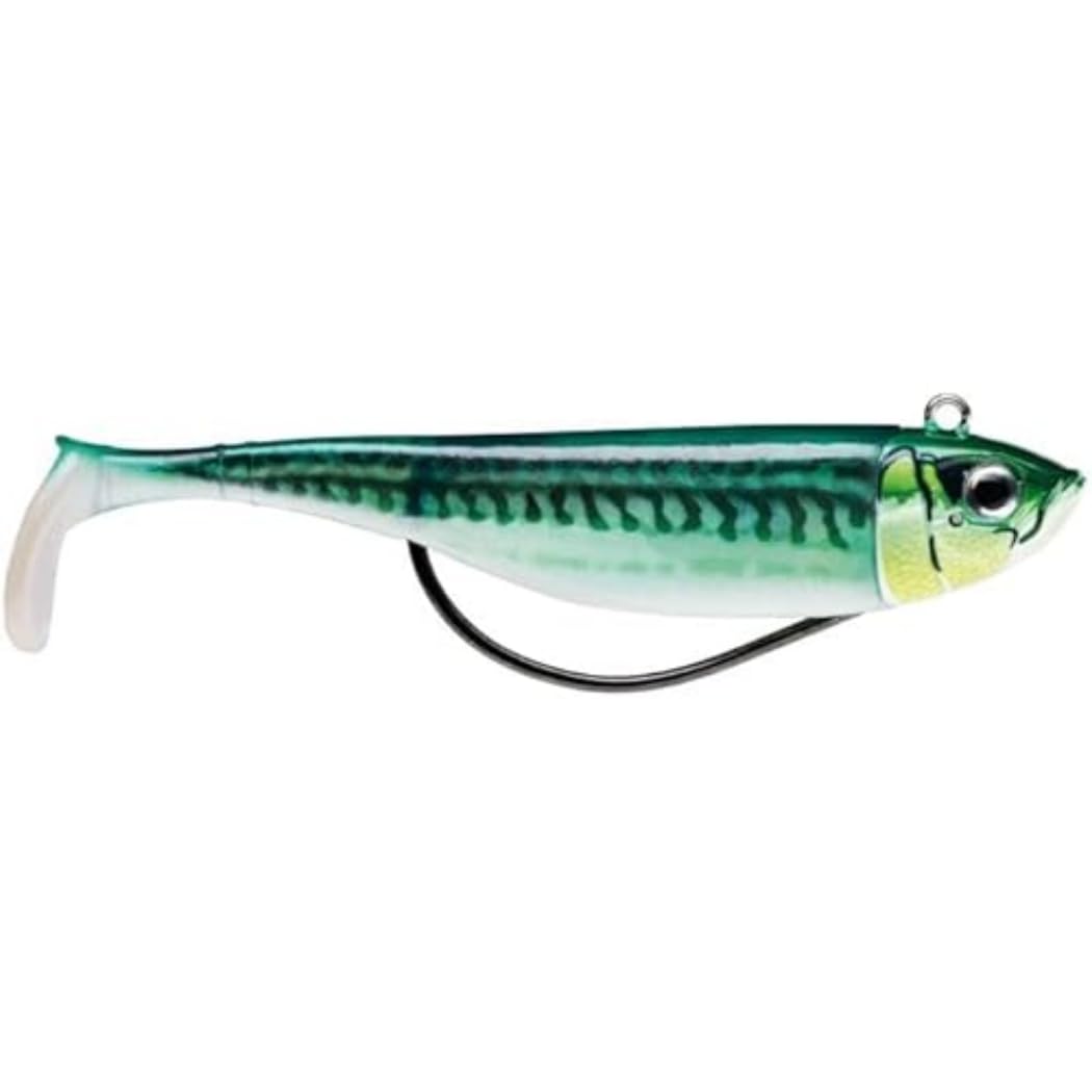 Biscay SHAD 09-10G GM, Multiclolor