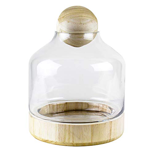 Cys Excel Glass Terrarium Container (H:10" W:7") | Multiple Size Choices Planter Jars With Wood Base & Lid | Plant Terrarium Bowl Vase #TOP2