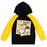 Peanuts Charlie Brown Snoopy And Friends Little Boys Fleece Hoodie Yellow/Black 4
