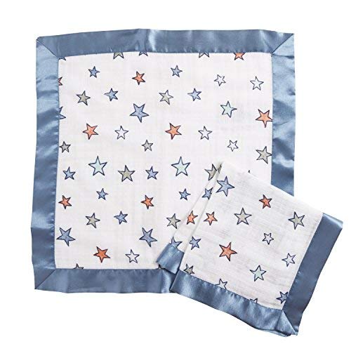 Aden by aden + anais Security Blanket 2 Pack, Hit The Road