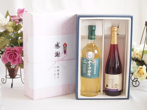̏H̑蕨 ӂ̑蕨{bNX 쌧YiCAKgpCƍYC2{Zbg(MBXp[NOC Ì(쌧)500mlViCAKÌC(R)720ml