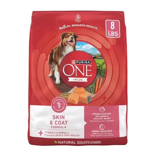 Purina ONE Natural, Sensitive Stomach Dry Dog Food, +Plus Skin & Coat Formula - 8 lb. Bag