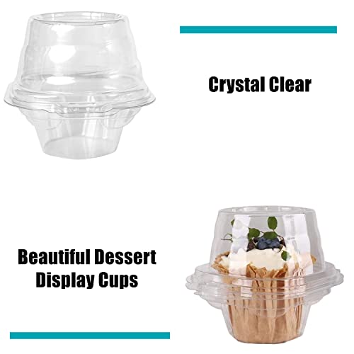 Lot De 50 Mini Boîtes à Cupcakes Dorées Transparentes - 3 Pouces, Dôme, Pour Fêtes Et Mariages