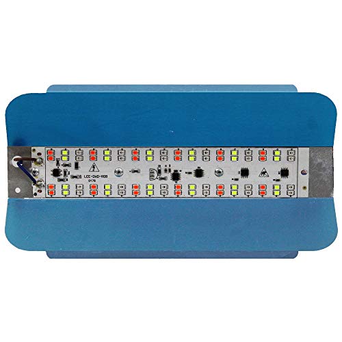 Image of MLD BL2560 Multicolor 10W Automatic Colour Changing Light (Red, Green, Blue) Waterproof LED Tungstun Loding RGB Flood Lights | Pack of 1