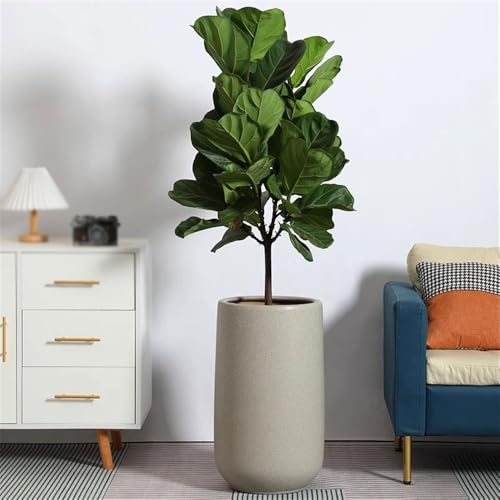 Pots de fleurs ronds avec points de chanvre et trous de drainage