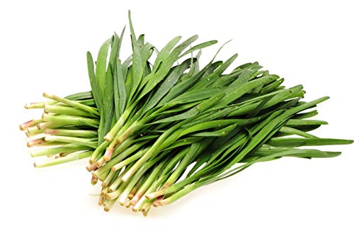 150 Graines de Ciboule de Chine - plante aromatique - légumes potager- semences paysannes reproductibles - SemiSauvage