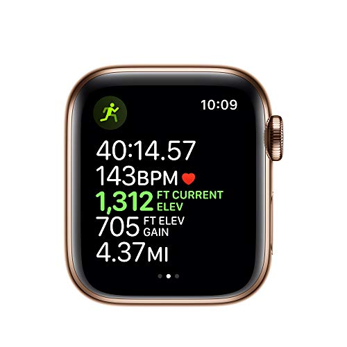 Image of Apple Watch Series 5 (GPS + Cellular, 40mm) - Gold Stainless Steel Case with Stone Sport Band