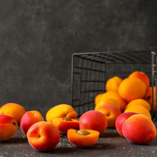 semillas resistentes de albaricoquero semillas de decorativas resistentes para jardín, balcón exóticas 5pcs