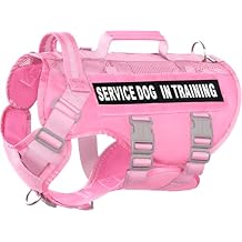 Service Dog Vest for Large Dogs, Pink Tactical Harness with Military MOLLE, Breathable Mesh & 39g Metal Buckle - Size M for Training & Hiking