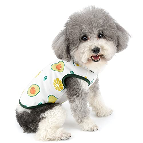 ZUNEA p Vc  ^ ^Ngbv TVc  킢 A{Jh  xXg _炩 Ȑ Vc  hbOEFA m  L q `  Ăh Eѕی U O[ XL