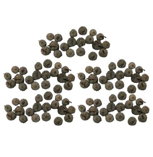 Ukbzxcmws 100 Ntgibg NX}X z[fR[V X^CbV [X ANZT[ Ӎ I[ig EFfBOfR[V