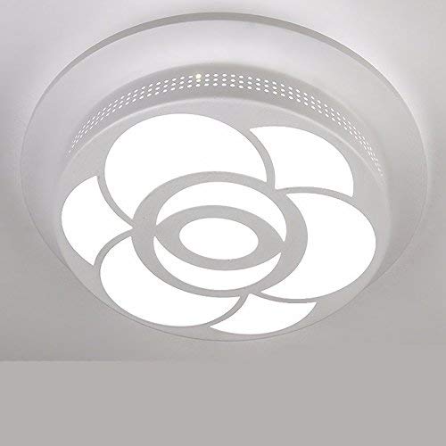 Plafonnier moderne LED couloir circulaire acrylique 12W blanc pour maison