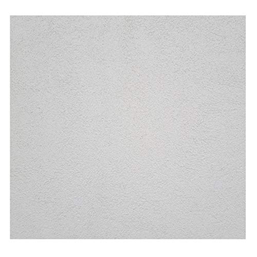 Film Dépoli de Vitre Électrostatique Mat 0.4x2m pour Fenêtre Maison et Bureau