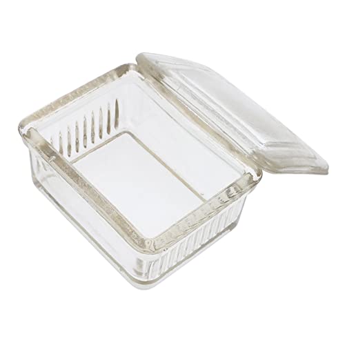 Ultechnovo 1Pc Glass Staining Jar Flower Vase Glass Clear Jar Clear Glass Jars With Lids Laboratory Staining Tank Coplin Staining Jar Lab Tubes Glass Staining Tank Glass Staining Jar For Labs #TOP17