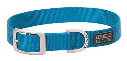Collar para perro de nylon azul Terrain D.O.G