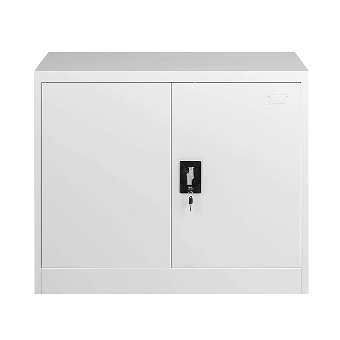 Buy 2 Door Locking Office Storage File Organiser