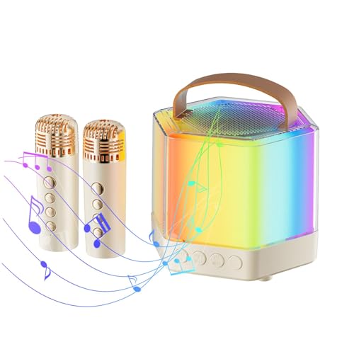 Machine à karaoké haut-parleur d'éclairage RVB avec ensemble de 2 microphones