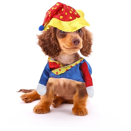 Disfraz de payaso para perro ORFOFE XXL miniatura 3