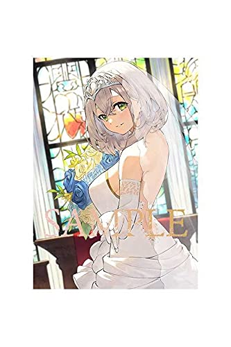 2点セット 正規品 2Bタペストリー ホロライブ 白銀ノエル Amazon.co.jp: ホロライブ 白銀ノエル B2タペストリー VTuber : おもちゃ