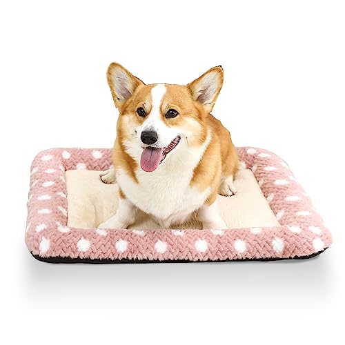 Peto-Raifu ybgNbV ybgxbh ybg\t@[ }bg ^ ^ L  Q Q[W~ L 􂦂  g ӂӂ rbgt@[ ʔNp ΍ ybgpi hbg sN 70x55x5cm