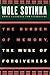 The Burden of Memory, the Muse of Forgiveness (W.E.B. Du Bois Institute)