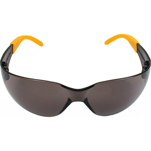 RadiansDPG54-2CDeWalt Protector Safety Glasses-SMOKE SAFETY GLASSES
