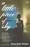 A Little Piece of Sky: A Novel - Nicole Bailey Williams 