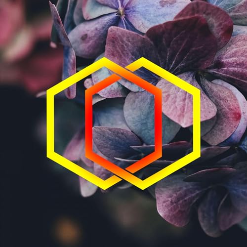 The Parish News #256