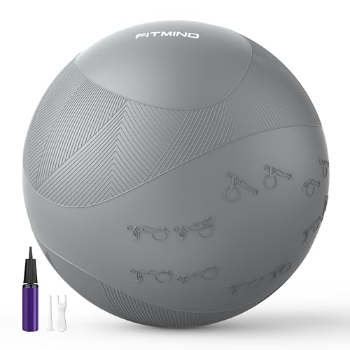Image of Extra Thick Yoga Ball with Training Instruction, Anti-Burst Slip Resistant Exercise Ball with Pump for Pilates,Physical Therapy,Pregnancy Stability,Birthing Ball 22in 26in 30in