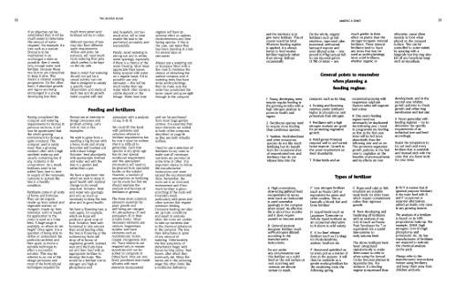 The Bonsai Book: The Definitive Illustrated Guide