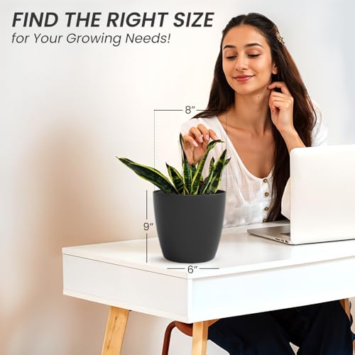 Image of YUCCABE ITALIA SHERA Stella 8 Inch Plastic Plant Pot for Home Decor Indoor Plant Pots for Living Room Plastic Flower Pot for Garden (Grey, 8 INCH - 2 Pcs)