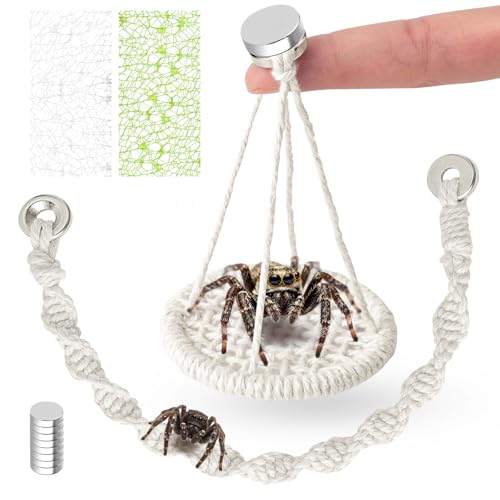 Xereooe 5 PCS Jumping Spider Rope Bridge Swings Set，Jumping Spider Webbed Moss Ribbon Tarantula Enclosure Accessories Natural Cotton Rope Handmade Pet Tiny Animals Enclosure Decorations