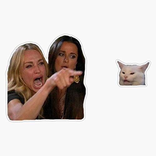 Waterproof Woman Yelling at Cat Sticker