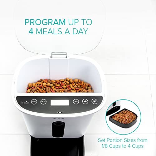 Arf Pets Automatic Pet Feeder Food Dispenser For Dogs, Cats & Small Animals – Features Distribution Alarms, Portion Control & Voice Recording – Timer Programmable Up To 4 Meals A Day #TOP3