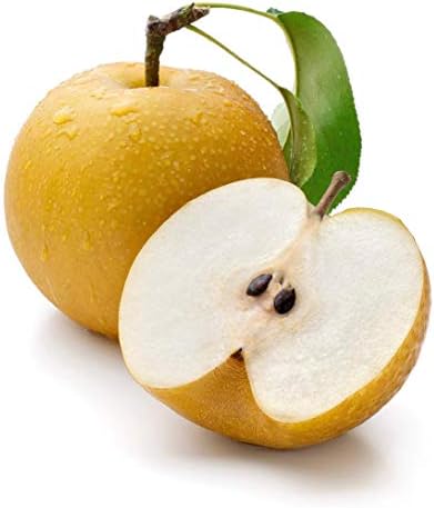 Asian Pear 10 Seeds - Chinese Sand Pear Seeds, Pyrus Pyrifolia Seeds, Edible Fruit Tree Seeds for Planting, Asian Pear Tree Plant Fast Growing, Asian Fruit Tree Seeds