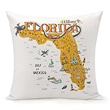 Jiaopenyou Throw Pillow Cover...