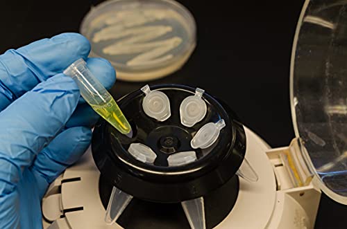 Ackers Science 500Pcs 1.5Ml Polypropylene Graduated Microcentrifuge Tubes With Snap Cap,Natural #TOP4