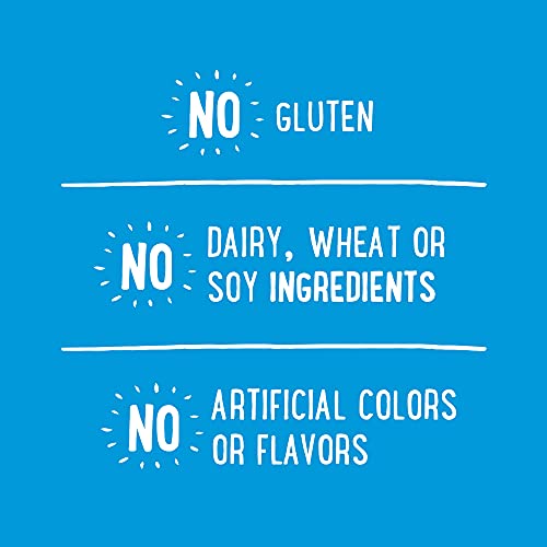 Udi's Gluten Free Classic Hamburger Buns, Frozen, 10.4 Oz. 4-Count #TOP3