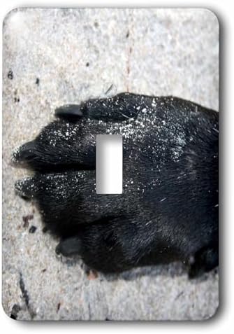 3dRose lsp_185118_1 Black Lab Dog Paw Light Switch Cover image 5