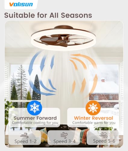 Image of VOLISUN Low Profile Ceiling Fans with Lights and Remote, 24in Fandelier Ceiling Fan Flush Mount, 3000K-6500K Smart Bladeless LED Fan Light, Farmhouse Ceiling Fans with Lights for Bedroom(Wood)