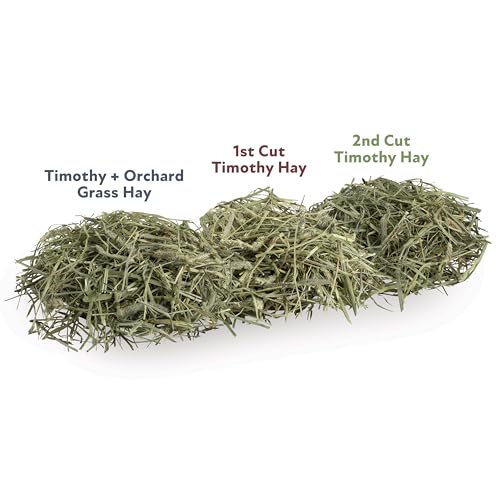 Kaytee Field+Forest 1st Cut Timothy Hay 2,551 g