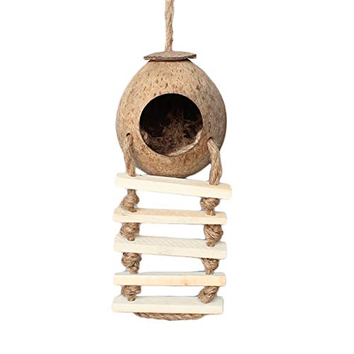 Nichoir pour petites oiseaux avec échelle suspendue en noix de coco pour cage et volière extérieure