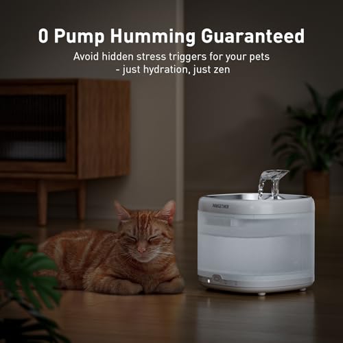 PAWGETHER® Cat Water Fountain, Ultra Quiet Pumpless Pet Water Fountain with Stainless Steel Tray, 67oz/2L Water Fountains for Cats Indoor with 360° Motion Sensor for Cats & Dogs (with Filter) - Image 4