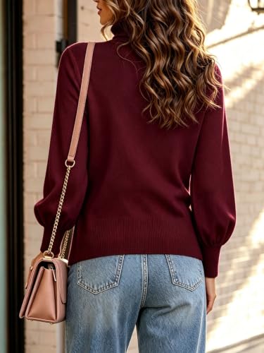 Image of Spicy Sandia Women's Long Sleeve Turtleneck Pullover Sweaters
