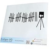 INDIGOS UG