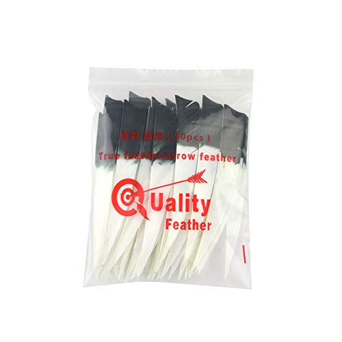 Hnzmdy 50 Pcs 5 Inch Archery Arrow Fletches Fletching Right Wing Natural Turkey Feathers For Diy Archery (Type 2, 5 Inch) #TOP5
