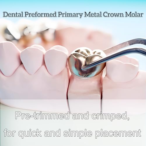 Image of Dental Molar Metal Crowns Kids Stainless Steel Chewing Function Dental Primary Metal Crowns Pack of 5 (DLL5)