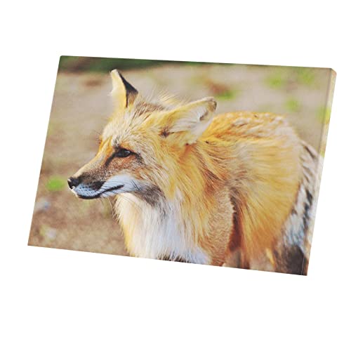 Tableau renard roux toile imprimée 90x60cm pour décoration murale sauvage