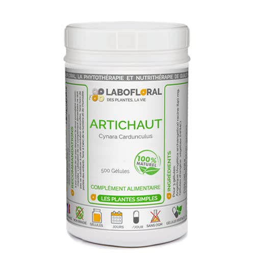 Artichaut Labofloral 500 gélules dosées à 260 mg - Complément alimentaire - Détox du foie, digestion, confort intestinal, élimination des graisses stockées - Fabriqué en France