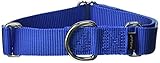 PetSafe Adjustable Martingale Collar - Only Tightens When Dogs Pull, Prevents Slipping Out - Helps with Strong Pullers, Increased Control - Alternative to Choke Collar - 1", Medium, Royal Blue